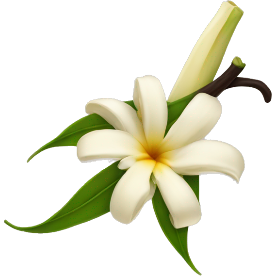 emojis.com -vanilla-beans-with-flower